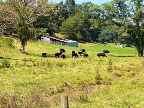 710 Donley Road Murphy NC 28906