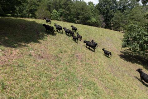 710 Donley Road Murphy NC 28906
