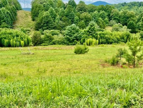 48 Madeline Way Blairsville GA 30512