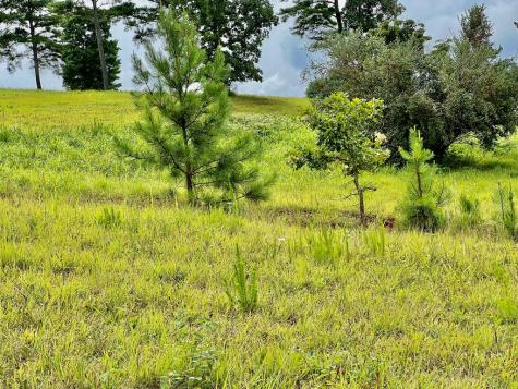 48 Madeline Way Blairsville GA 30512