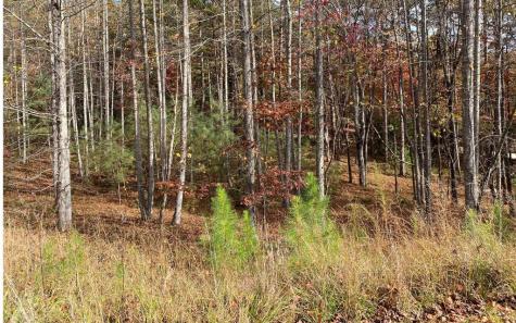 Lot 132 Fox Cove Road Blairsville GA 30512