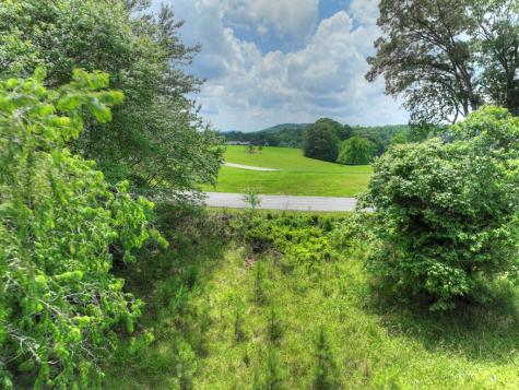 Lot 132 Fox Cove Road Blairsville GA 30512