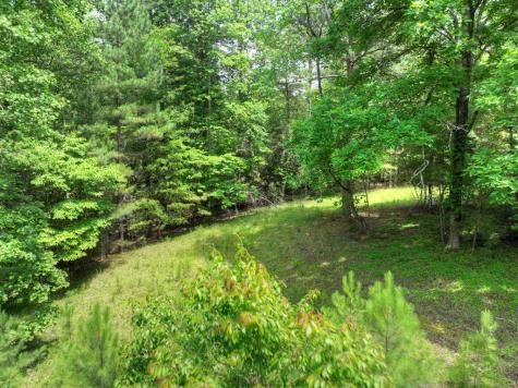 Lot 132 Fox Cove Road Blairsville GA 30512