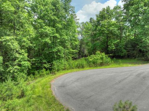 Lot 132 Fox Cove Road Blairsville GA 30512