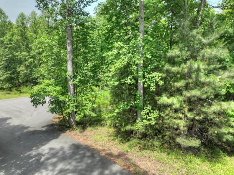 Lot 132 Fox Cove Road Blairsville GA 30512