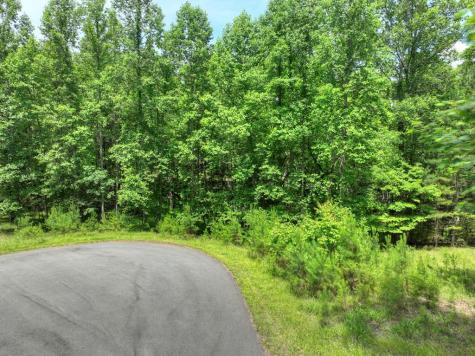 Lot 132 Fox Cove Road Blairsville GA 30512