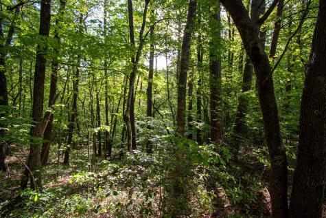 Lot 36 Mountain Top Road Marble NC 28905