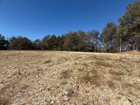 Lot 11 Lindsey Lane Blue Ridge GA 30513