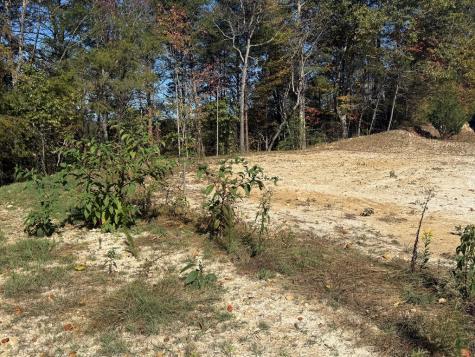 Lot 11 Lindsey Lane Blue Ridge GA 30513