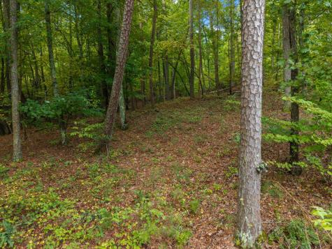 Lot 195r Pinnacle Drive Ellijay GA 30540