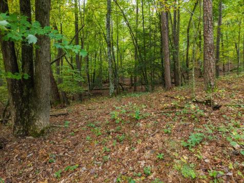 Lot 195r Pinnacle Drive Ellijay GA 30540