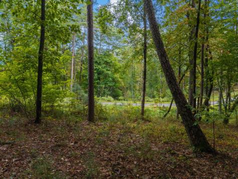 Lot 195r Pinnacle Drive Ellijay GA 30540