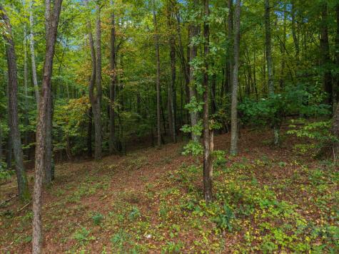 Lot 195r Pinnacle Drive Ellijay GA 30540