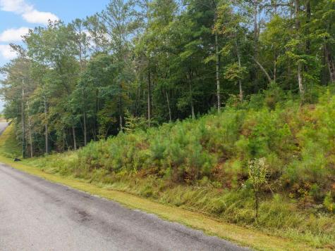 Lot 195r Pinnacle Drive Ellijay GA 30540