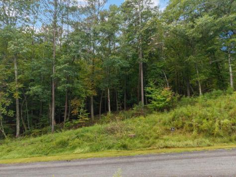 Lot 195r Pinnacle Drive Ellijay GA 30540