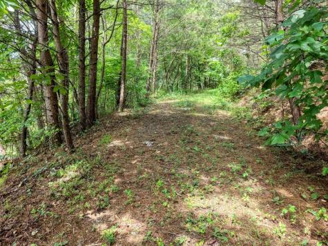 Lots 1-8 Teaks Drive Hayesville NC 28904