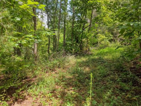 Lots 1-8 Teaks Drive Hayesville NC 28904