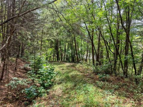 Lots 1-8 Teaks Drive Hayesville NC 28904