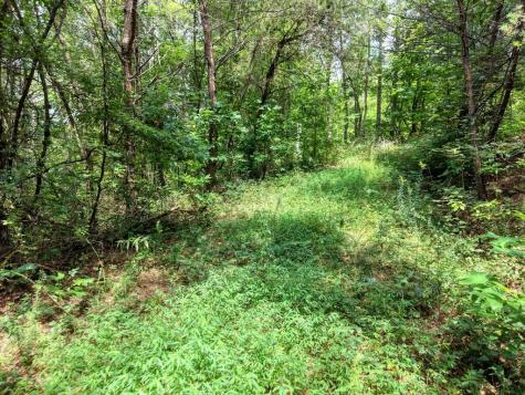 Lots 1-8 Teaks Drive Hayesville NC 28904