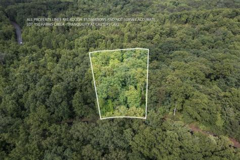 Lot 150 Tranquility @ Carters Lake Ellijay GA 30540