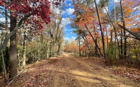 00 Firetower Road Jasper GA 30143