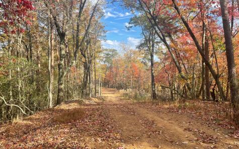 00 Firetower Road Jasper GA 30143