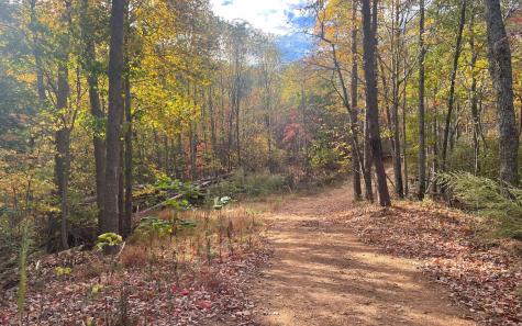 00 Firetower Road Jasper GA 30143