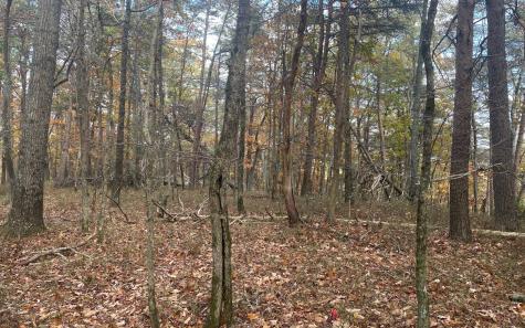 00 Firetower Road Jasper GA 30143