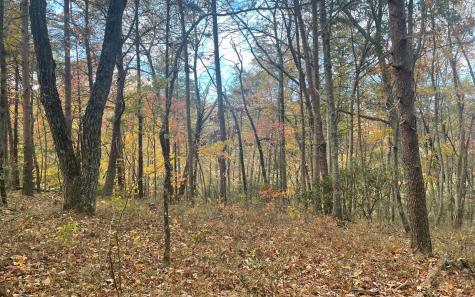 00 Firetower Road Jasper GA 30143