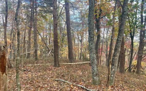 00 Firetower Road Jasper GA 30143