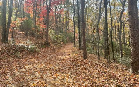 00 Firetower Road Jasper GA 30143