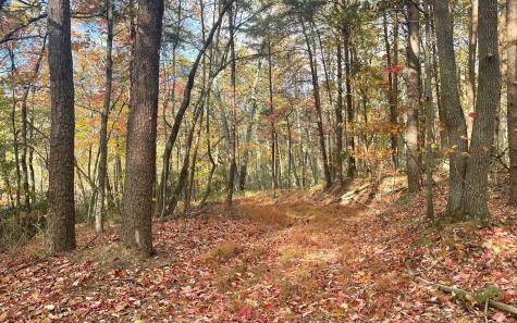 00 Firetower Road Jasper GA 30143