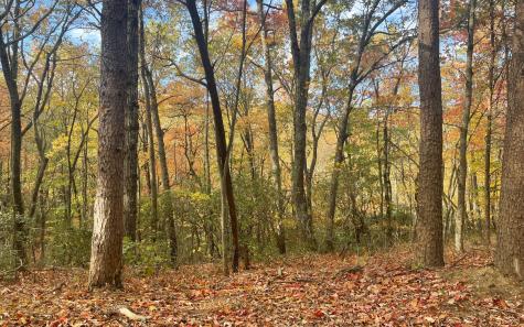 00 Firetower Road Jasper GA 30143