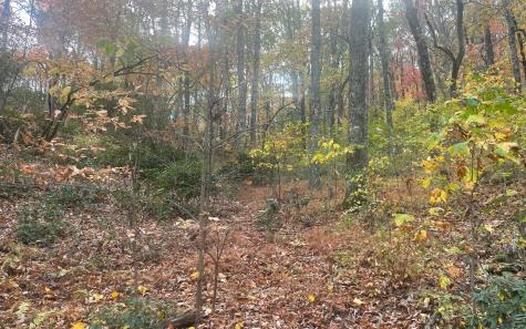 00 Firetower Road Jasper GA 30143