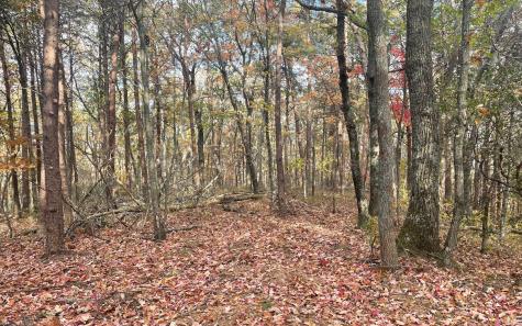 00 Firetower Road Jasper GA 30143