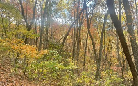 00 Firetower Road Jasper GA 30143