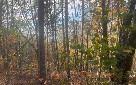 00 Firetower Road Jasper GA 30143