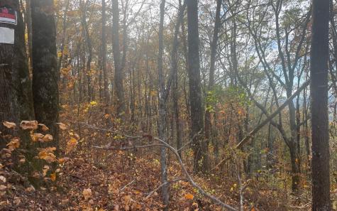 00 Firetower Road Jasper GA 30143