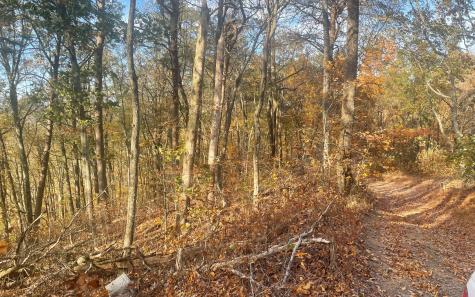 00 Firetower Road Jasper GA 30143