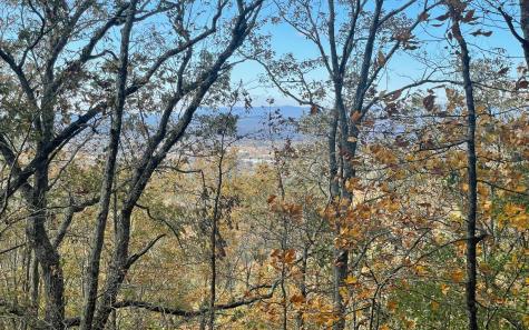 00 Firetower Road Jasper GA 30143