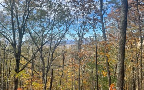 00 Firetower Road Jasper GA 30143