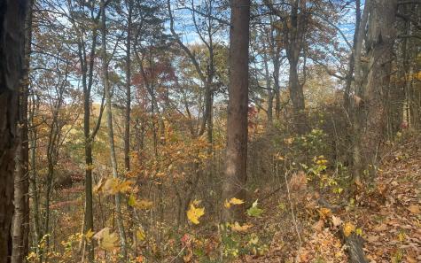 00 Firetower Road Jasper GA 30143
