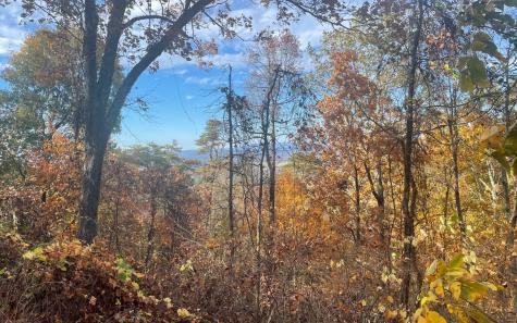 00 Firetower Road Jasper GA 30143