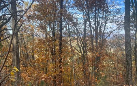 00 Firetower Road Jasper GA 30143