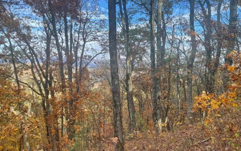 00 Firetower Road Jasper GA 30143