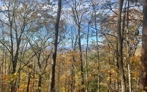 00 Firetower Road Jasper GA 30143