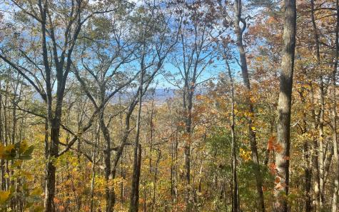 00 Firetower Road Jasper GA 30143