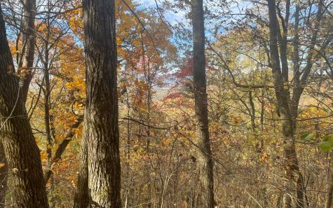 00 Firetower Road Jasper GA 30143