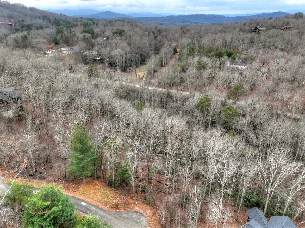 Lot 5 Staurolite Mountain Blue Ridge GA 30513