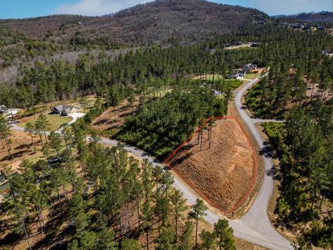 0 Loop Lane Blairsville GA 30512